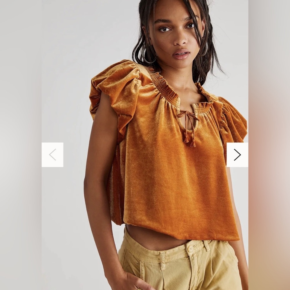 FREE PEOPLE Terese Velvet Top in Pumpkin Pie